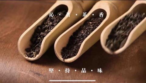 萌享成真 創意影像 - 茶飲店動態廣告