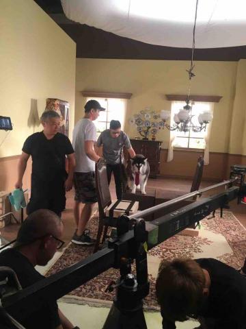 寵物行為訓練師 宋澤 - 三菱寵物汽車廣告拍攝 寵物行為訓練師 宋澤 - 三菱寵物汽車廣告拍攝