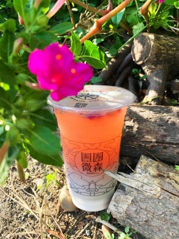 陳瑋琪 - 耗材杯子杯膜相關設計製作