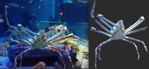 ＳＨＡＯ - ＃照片 去背＿