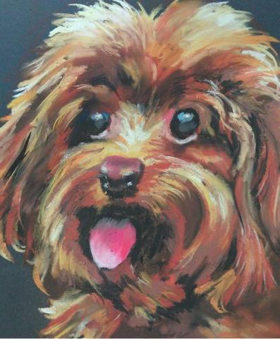 詹宛玲 - 粉彩筆表現