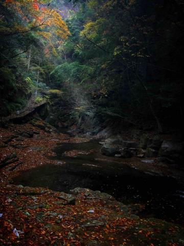 黃巽則 - 風景攝影