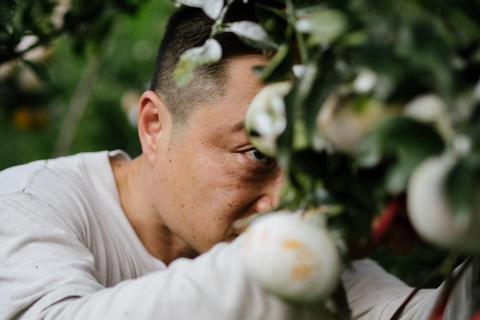 H.Yuan Photography - 