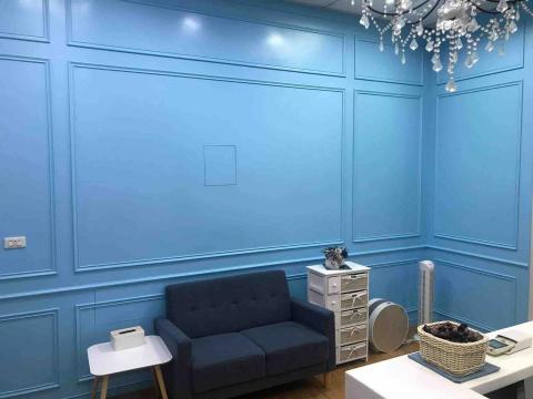 隆興防水油漆工程 - 烤漆