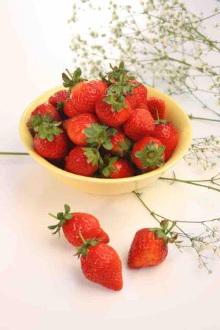 陳世純 Air - 食品類