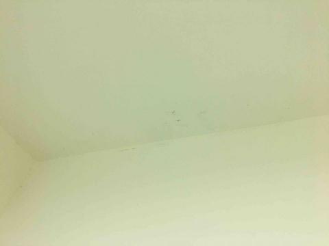 正勝防水工程行 - 牆面修補成功