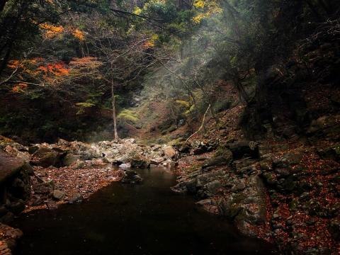 黃巽則 - 風景攝影