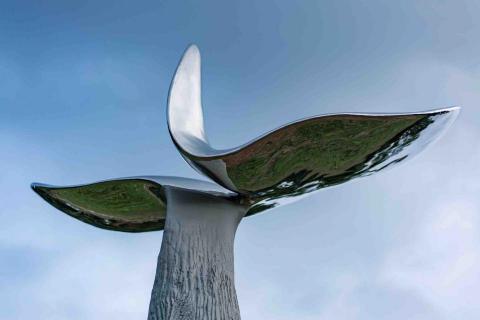 艾莉森活動行銷 - 樟之昇華裝置藝術