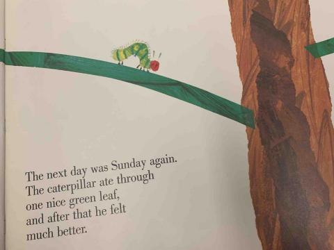 （英語家教）Anna老師 - 