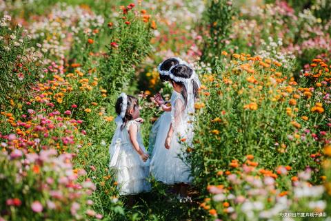 自然童真親子攝影 - 