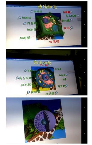 席爾科技有限公司 - AR Biology
與參考書配合，透過掃瞄特定的圖片，出現生物細胞AR模型，點擊特定模型可觀看3D動畫與詳細介紹，讓學生們更容易了解細胞的構造。