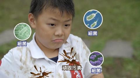 奇像工作室 - 2016 新白蘭 產品實證影片