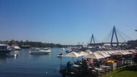 提供英翻中服務的專家Natti