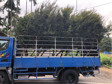 👍大東理貨企業社👍 - 民雄載往高雄（樹葡萄）