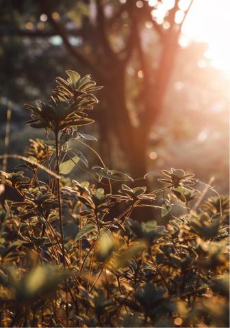 Swayk696攝影接案 - 