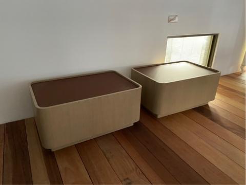 訂製傢俬（minotti / poliform /B&B) - 玻+木