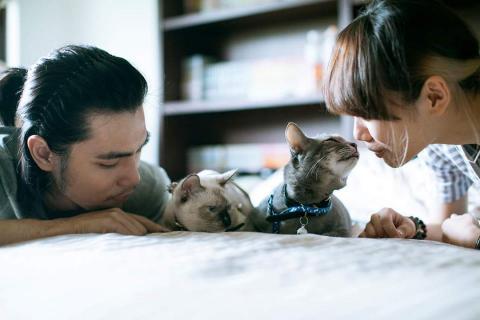 Zil Photography - 寵物攝影