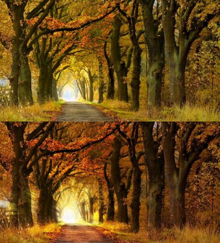 廖雯靜 - 增加光線