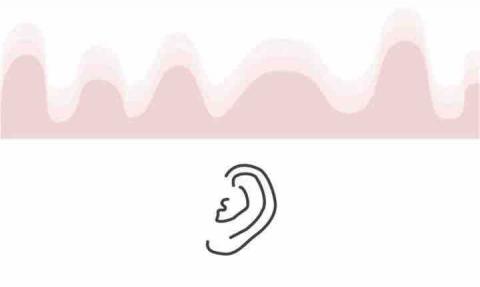 Cosmos ronron  - 名片-聲音工作室