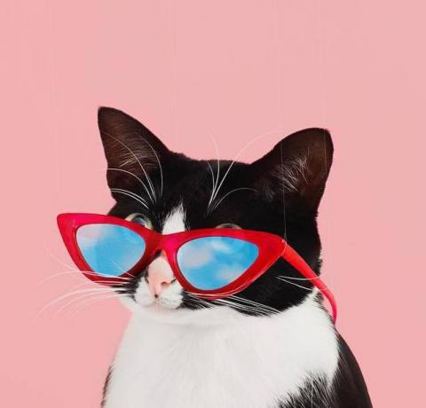 提供艾瑪絲ptt服務的專家艾瑪網頁設計工作室