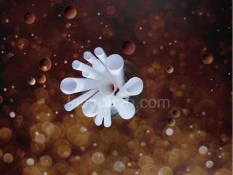 🎥森之映像📸 - 