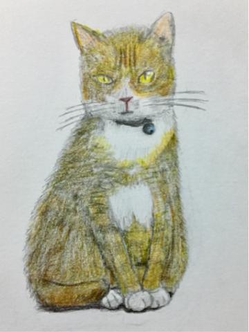 carbon （郭奕成） - 