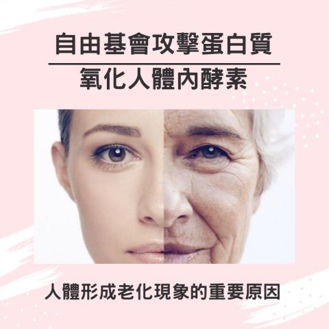 創客行銷/顧問/企劃工作室 - 粉專圖片設計