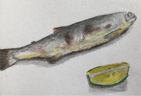 carbon （郭奕成） - 
