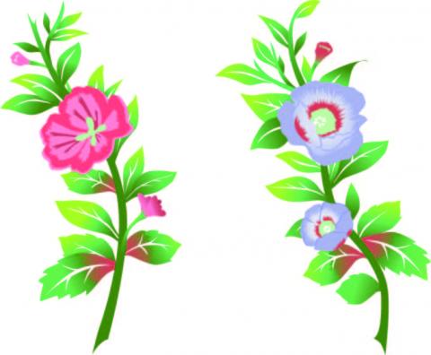 張雅筑 - 電腦繪圖-AI 張雅筑 - 電腦繪圖-AI