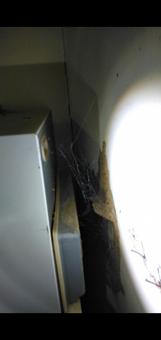 威喜實業除蟲有限公司 - 白蟻入侵冰箱