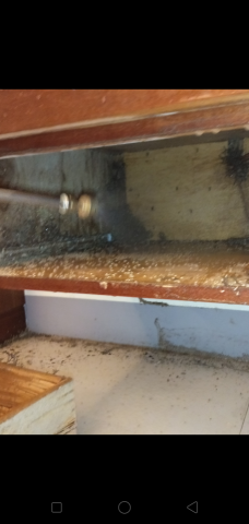 威喜實業除蟲有限公司 - 