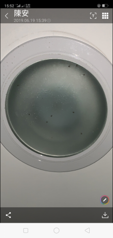 威喜實業除蟲有限公司 - 蛀蟲