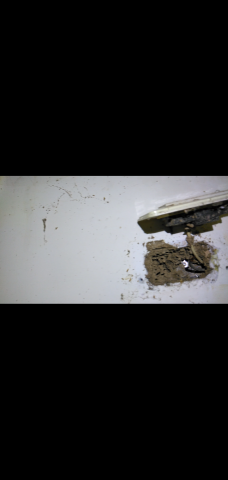 威喜實業除蟲有限公司 - 白蟻入侵電線。小心電費及安全