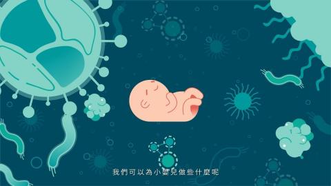 Albert Tung - 百日咳疫苗動畫