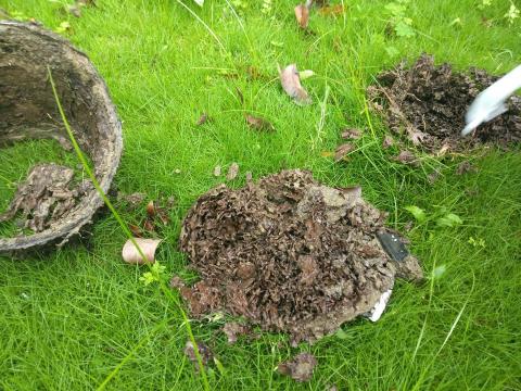 威喜實業除蟲有限公司 - 蟻巢