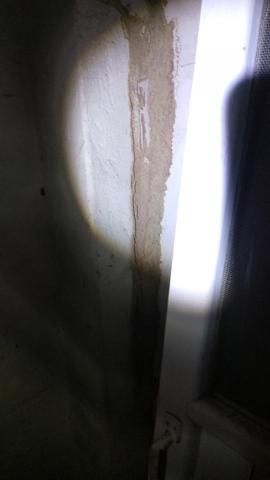 威喜實業除蟲有限公司 - 白蟻