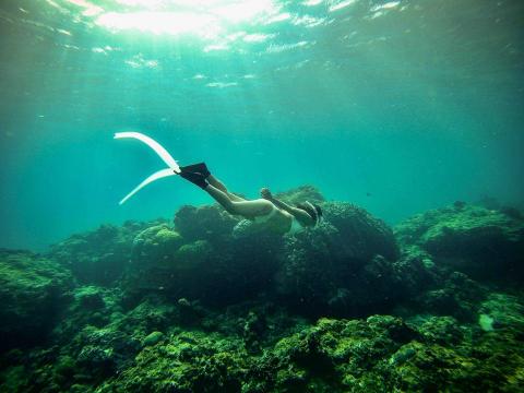 D-card水中攝影旅遊拍攝 - 