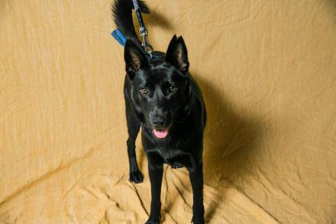 N5影像創意 -  N5影像創意 -