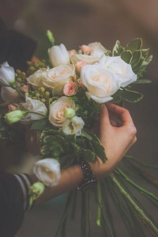 N5影像創意 -  N5影像創意 -