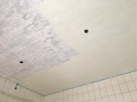 宸恩油漆整修工程 - 全部批土、有光水泥漆抓直上漆