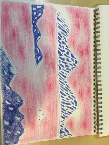 Cosmos ronron  - 練習-蠟筆、鋼筆