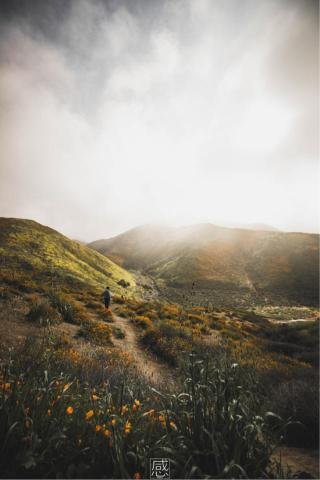 Stvibes production  - 活動場景攝影