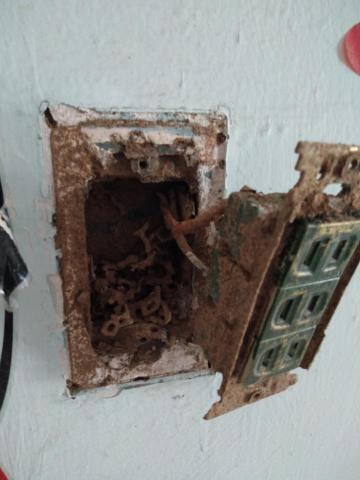 威喜實業除蟲有限公司 - 電線管路