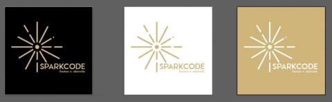 鄭裕生 - LOGO設計
客戶是販售保養品，希望能營造專業感以及璀璨綻放的效果，故用煙火的概念來進行設計。