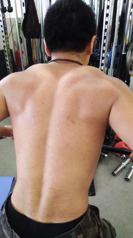 銀體向上運動空間 - 背部肌肉鍛鍊