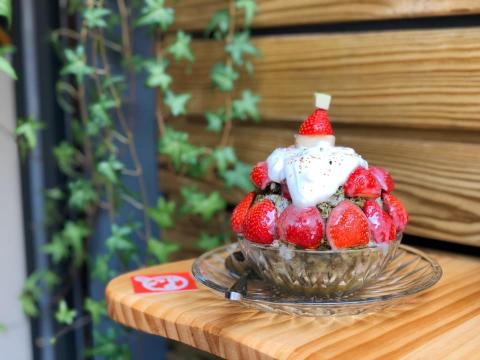 Nicole Lin - 食物攝影圖