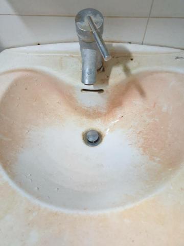 潔淨手（可做單項清潔，可只做廁所，廚房，冰箱，陽臺，窗戶…等 - 