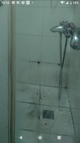 潔淨手（可做單項清潔，可只做廁所，廚房，冰箱，陽臺，窗戶…等 - 