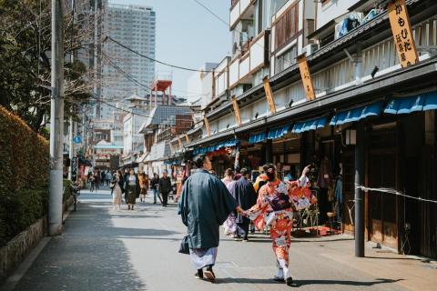 斑馬柯（Zebra K.) - 