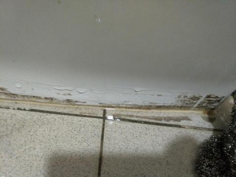 王禹人Terry - 馬桶側邊貼近地板常有發霉